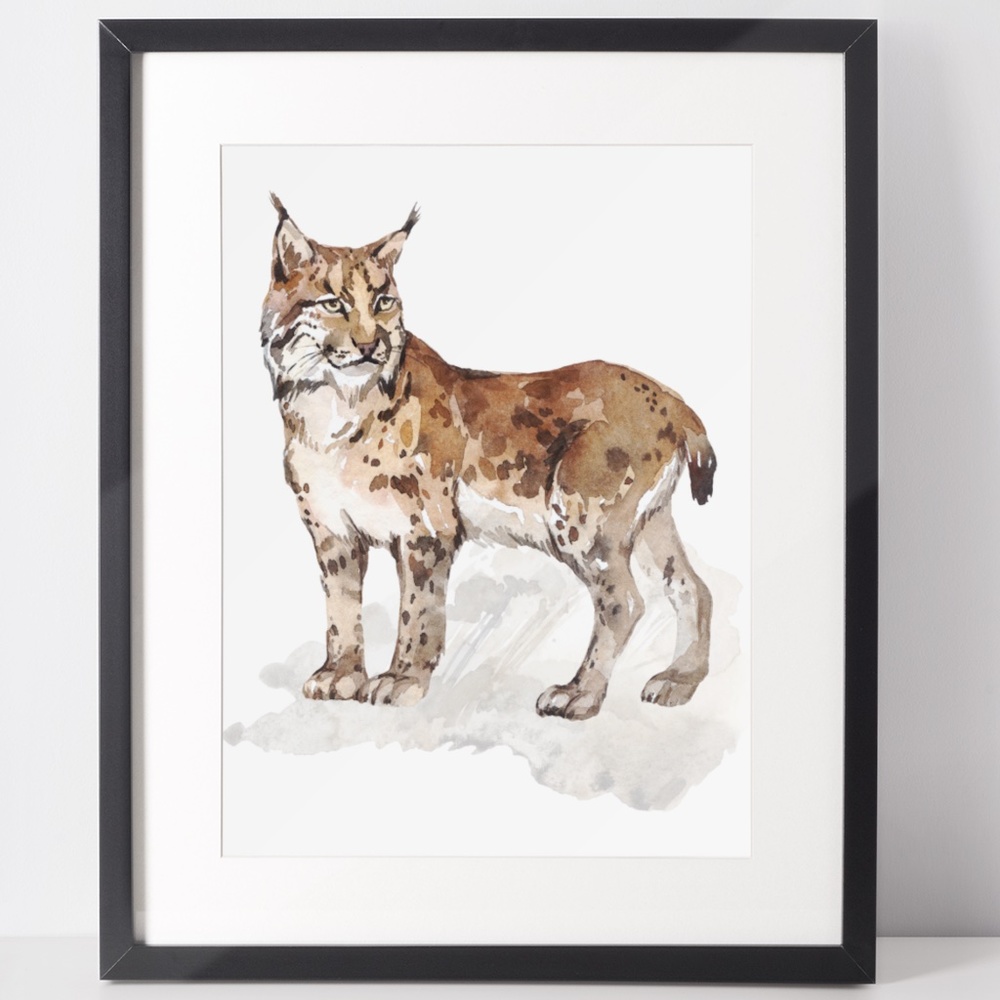 Wall Art Watercolor Lynx Bobcat Illustration Print Poster Unframed - Picture 4 of 17